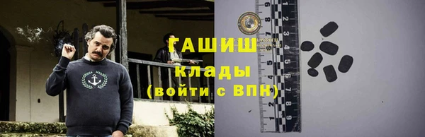 герыч Алексин