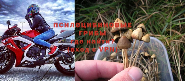 ECSTASY Алексеевка
