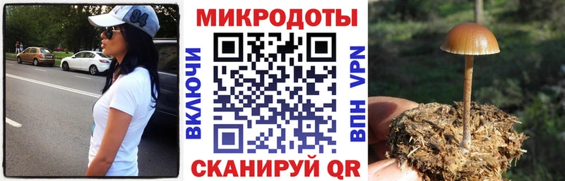Галлюциногенные грибы Psilocybe  магазин    Пермь 