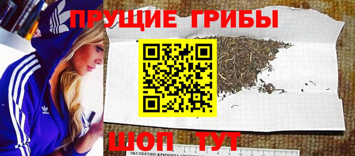 Пермь  Галлюциногенные грибы GOLDEN TEACHER  Вход с VPN  Галлюциногенные грибы MAGIC MUSHROOMS 